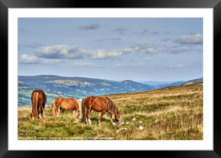 Wild Horses on the Brecon Beacons Framed Mounted Print by Gordon Maclaren