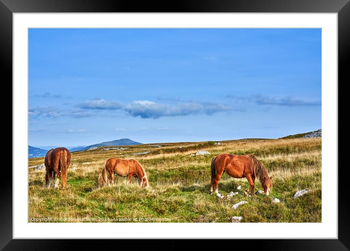 Wild Horses on the Brecon Beacons Framed Mounted Print by Gordon Maclaren