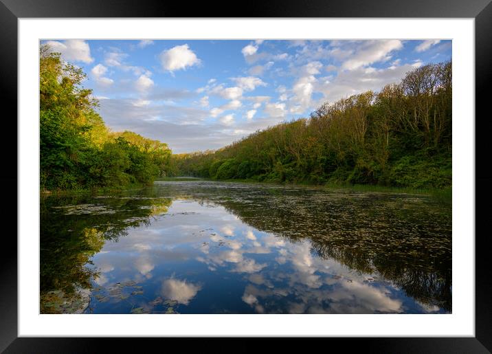 Serenity at Bosherston Lily Ponds Framed Mounted Print by Tracey Turner