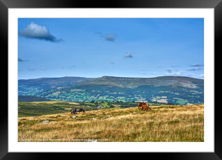 Wild Horses grazing on the Brecon Beacons Framed Mounted Print by Gordon Maclaren