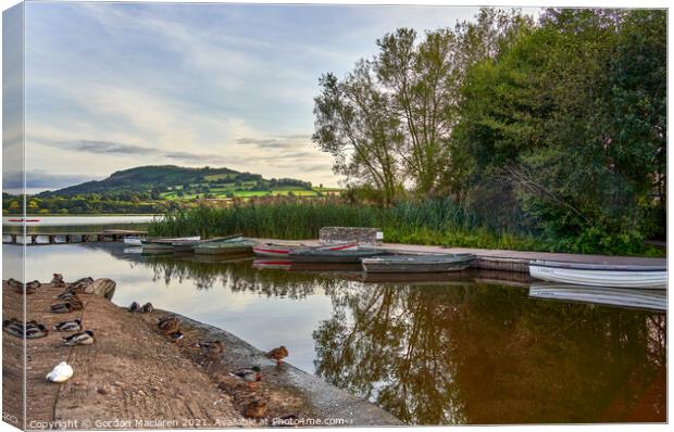 Ducks & Boats, Llangorse Lake South Wales Canvas Print by Gordon Maclaren