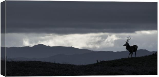 Highland Skyline Canvas Print by Macrae Images
