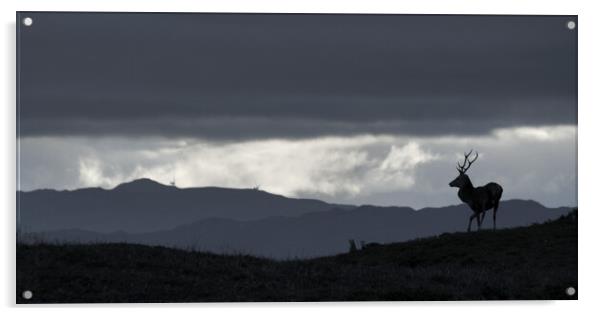 Highland Skyline Acrylic by Macrae Images