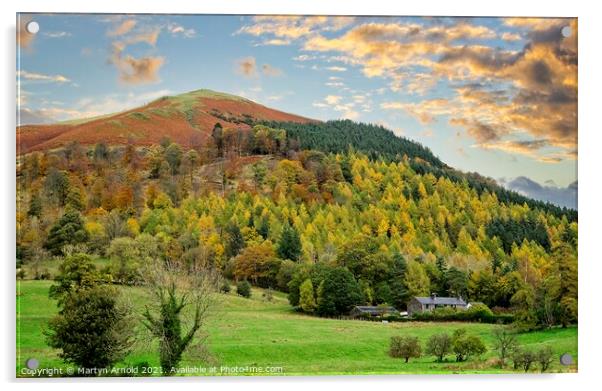 Lake District Fells Near Keswick Acrylic by Martyn Arnold