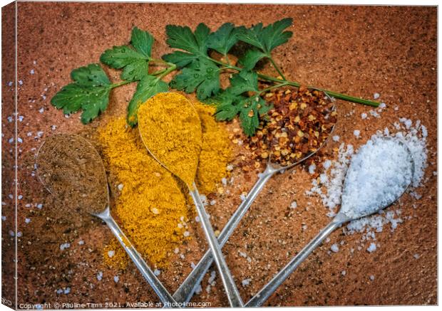Spices Canvas Print by Pauline Tims