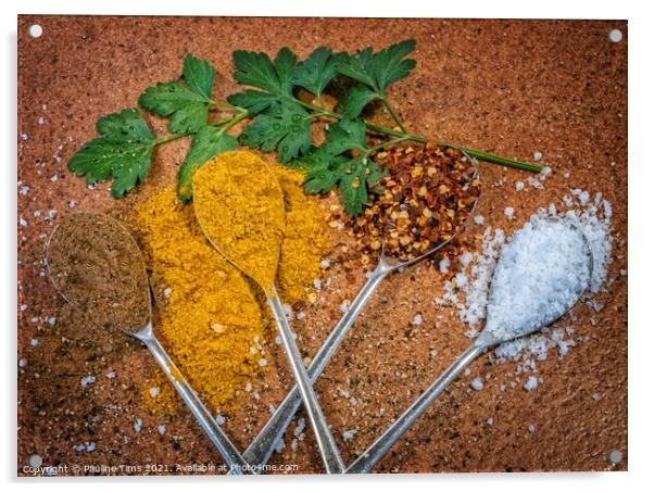 Spices Acrylic by Pauline Tims