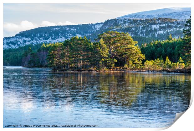 Frozen Loch an Eilein #2 Print by Angus McComiskey