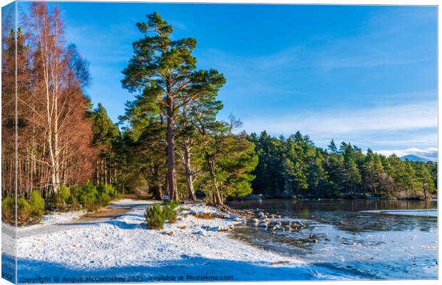 Loch an Eilein forest walk winter Canvas Print by Angus McComiskey