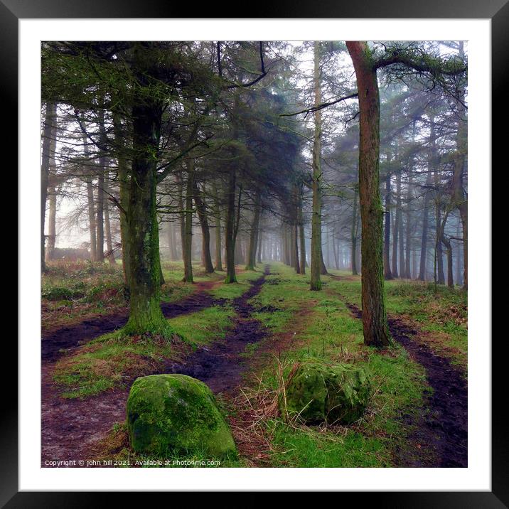 Misty woodland in Winter. Framed Mounted Print by john hill