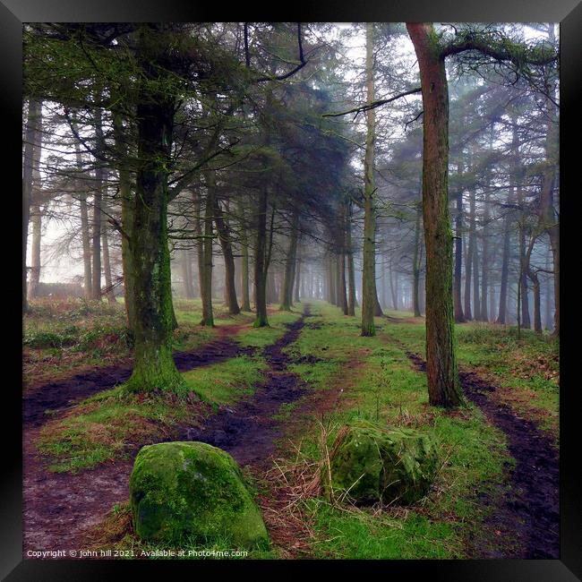 Misty woodland in Winter. Framed Print by john hill