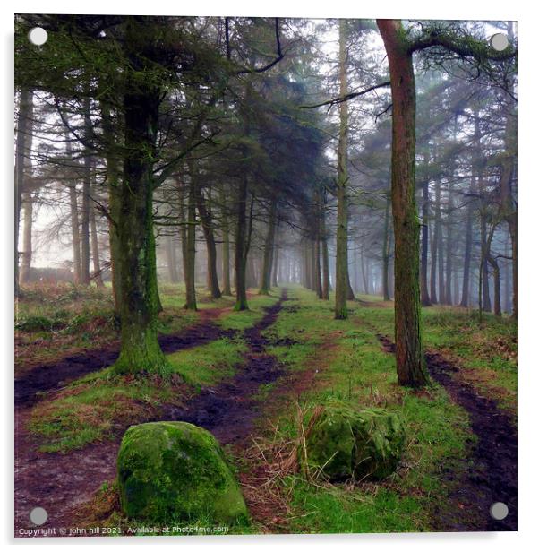 Misty woodland in Winter. Acrylic by john hill