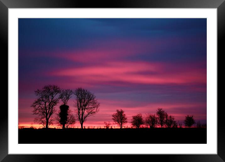 Sunrise. Trees  Framed Mounted Print by Simon Johnson