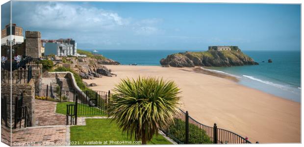 Tenby seafront Canvas Print by Chris Rose