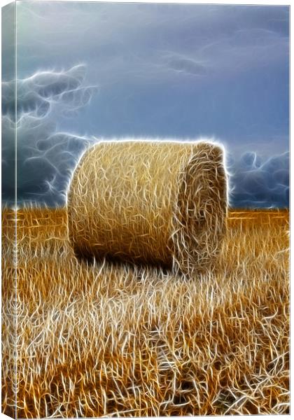 hay bale Canvas Print by Northeast Images