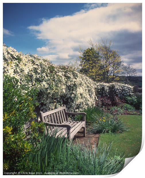 Clematis and bench Print by Chris Rose