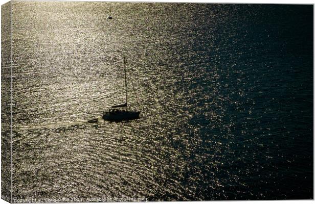 A silhouetted sailing boat motors out Canvas Print by Chris Rose