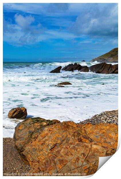 Dollar Cove Gunwalloe Print by CHRIS BARNARD