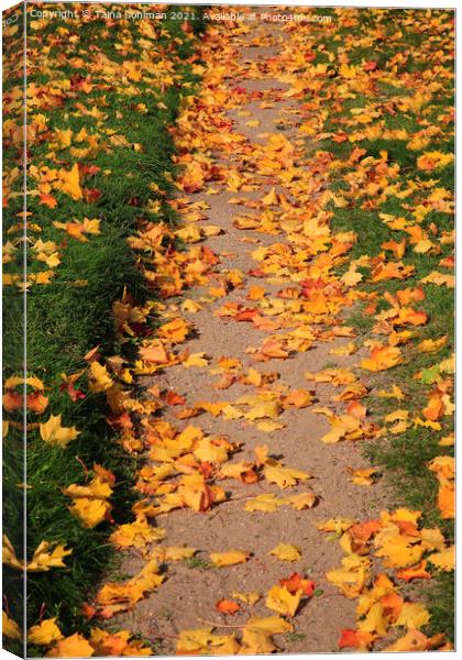 Footpath with Fallen Leaves Canvas Print by Taina Sohlman
