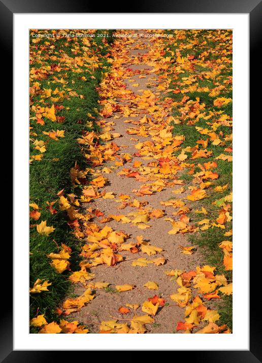 Footpath with Fallen Leaves Framed Mounted Print by Taina Sohlman