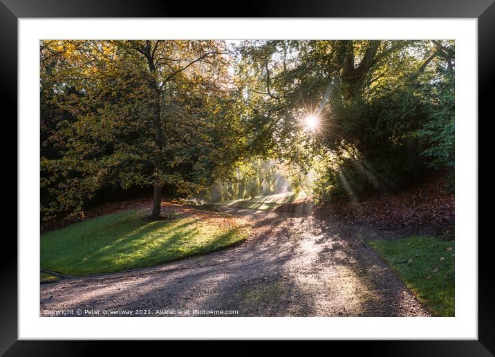 Sun Shining Through Autumn Trees On The Waddesdon Estate Framed Mounted Print by Peter Greenway