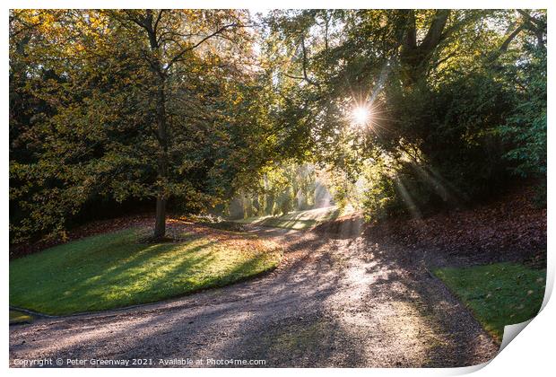 Sun Shining Through Autumn Trees On The Waddesdon Estate Print by Peter Greenway