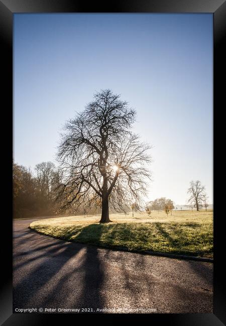Bare Tree On The Waddesdon Manor Estate On A Misty Winters Morning Framed Print by Peter Greenway