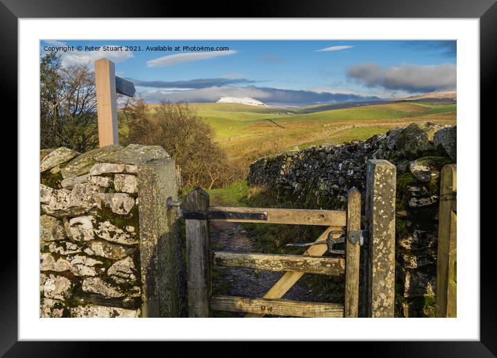 Hill walking between Langcliffe, Attermire Scar and Settle via t Framed Mounted Print by Peter Stuart