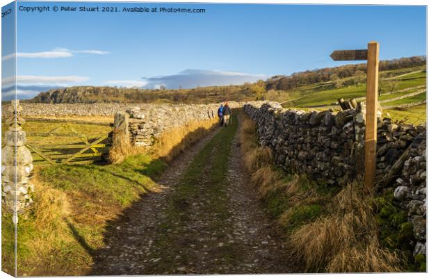 Hill walking between Langcliffe, Attermire Scar and Settle Canvas Print by Peter Stuart