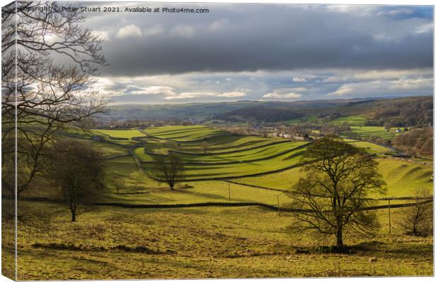 Hill walking between Langcliffe, Attermire Scar and Settle via t Canvas Print by Peter Stuart