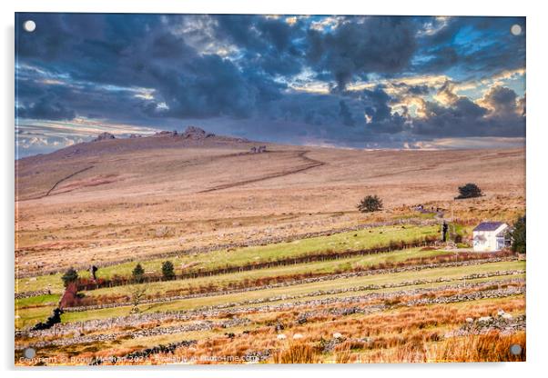 Solitary Farmstead on Dartmoor Acrylic by Roger Mechan