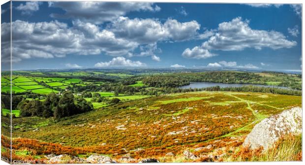 Serene Dartmoor Landscape Canvas Print by Roger Mechan