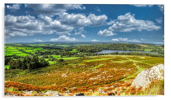 Serene Dartmoor Landscape Acrylic by Roger Mechan
