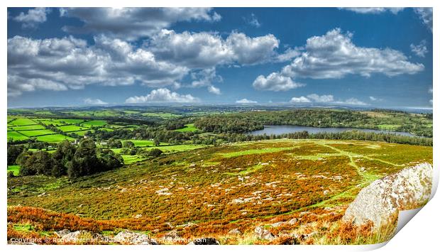 Serene Dartmoor Landscape Print by Roger Mechan