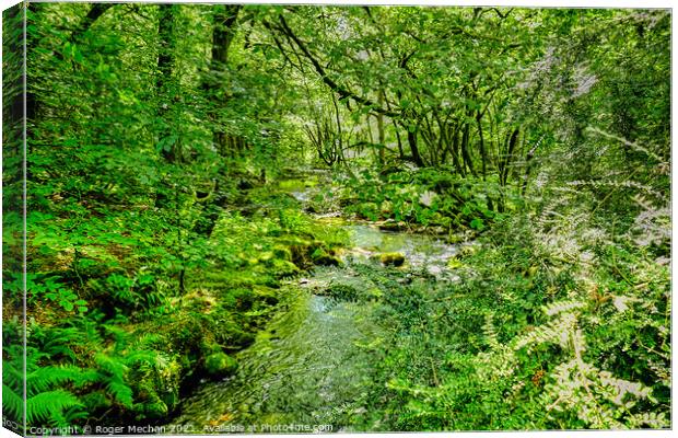 Serene Stream in Dartmoor Forest Canvas Print by Roger Mechan