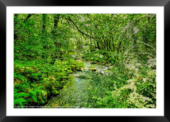 Serene Stream in Dartmoor Forest Framed Mounted Print by Roger Mechan