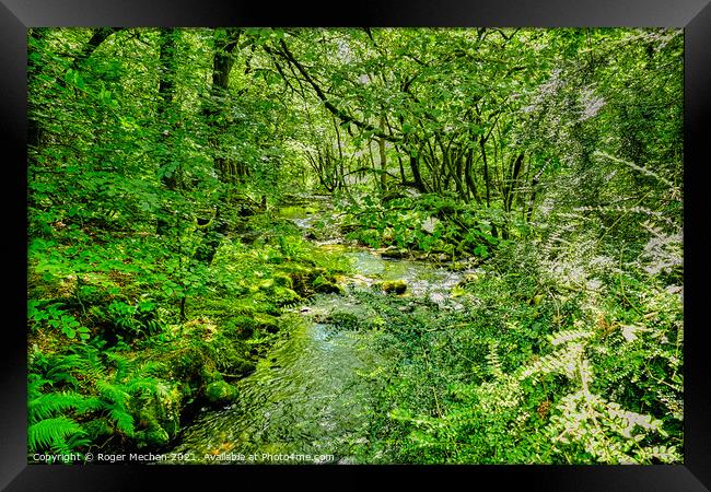 Serene Stream in Dartmoor Forest Framed Print by Roger Mechan