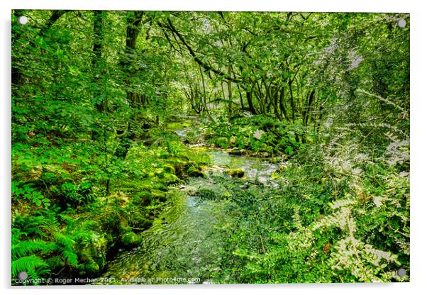 Serene Stream in Dartmoor Forest Acrylic by Roger Mechan