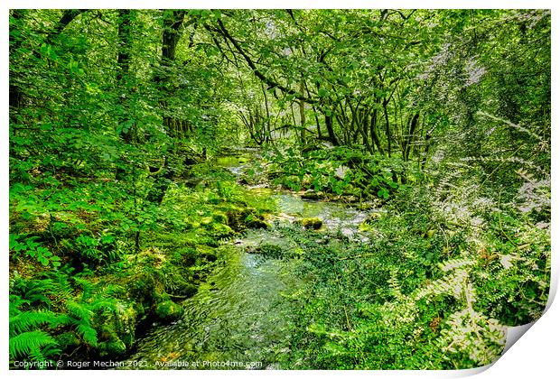 Serene Stream in Dartmoor Forest Print by Roger Mechan