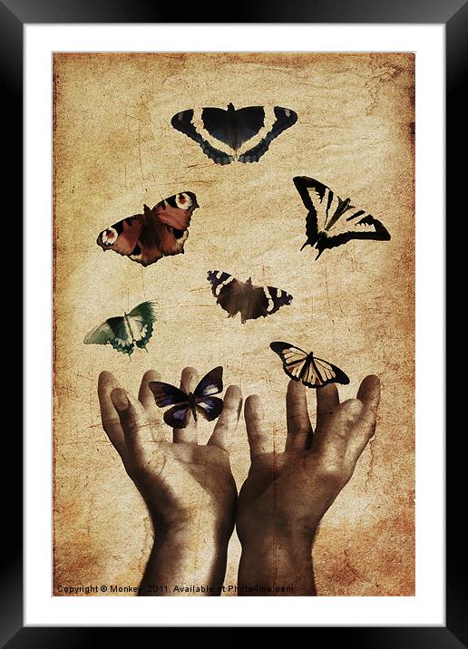 Fragility Released Framed Mounted Print by Anthony Michael 