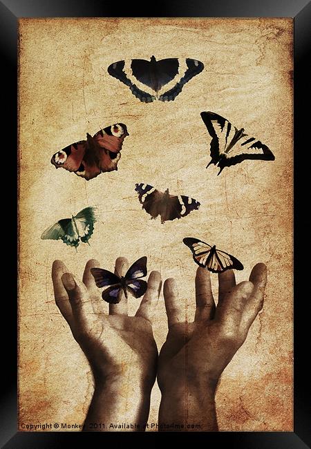 Fragility Released Framed Print by Anthony Michael 