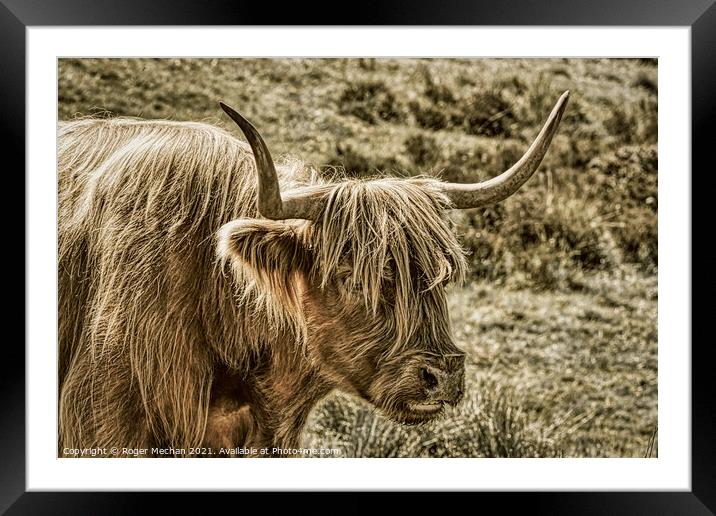 Brown Highland Cow in Abstract Charcoal Framed Mounted Print by Roger Mechan