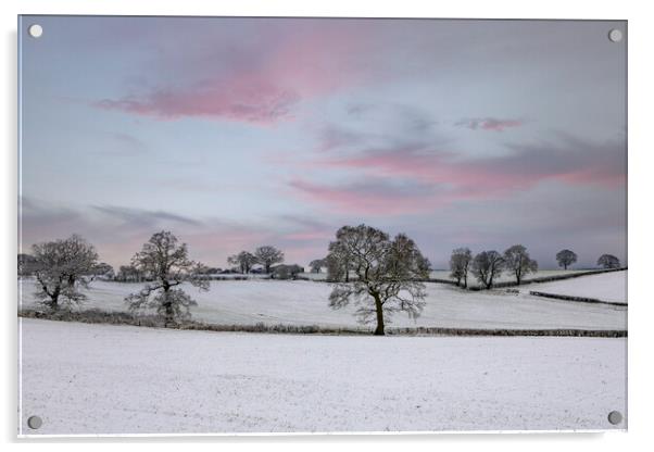 Winter Sunset Acrylic by David Tinsley