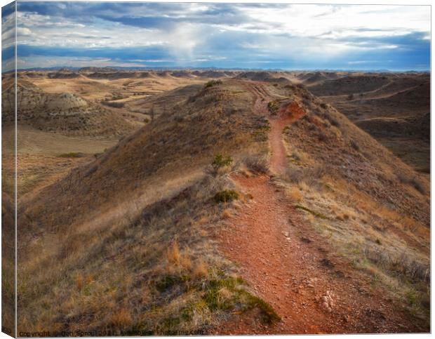 Hiking Trail Through The Badlands Canvas Print by Dan Sproul