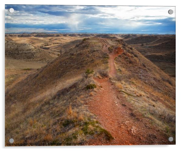 Hiking Trail Through The Badlands Acrylic by Dan Sproul
