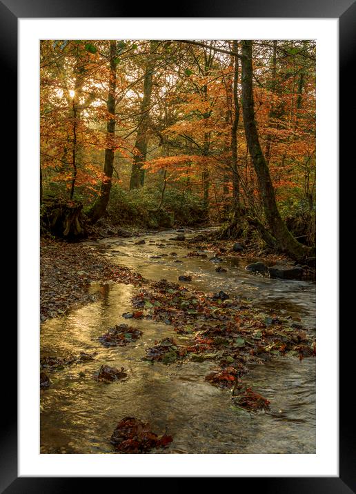 Autumn at Wenchford Framed Mounted Print by David Tinsley