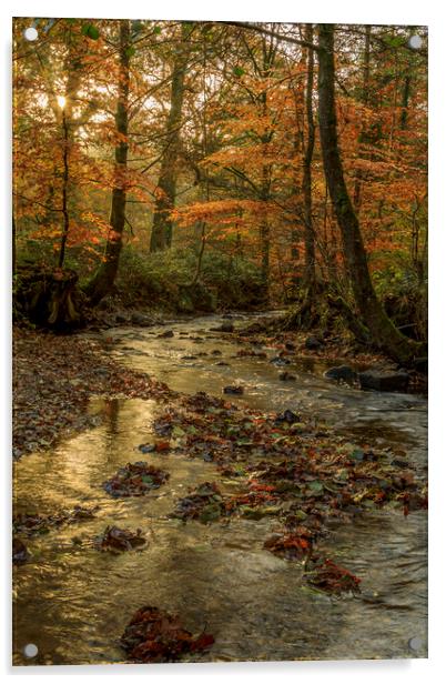 Autumn at Wenchford Acrylic by David Tinsley