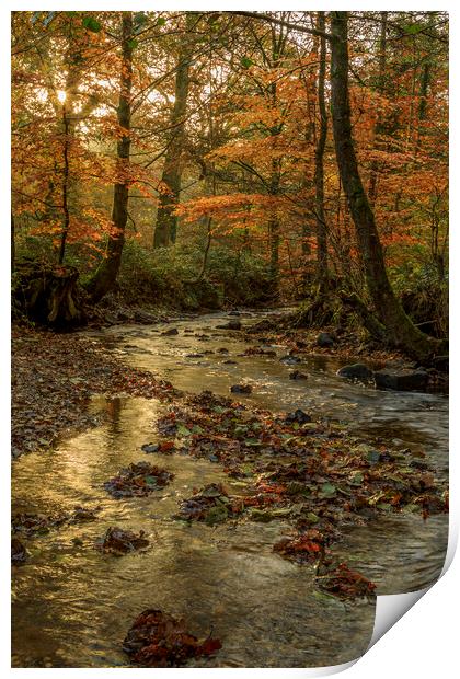 Autumn at Wenchford Print by David Tinsley