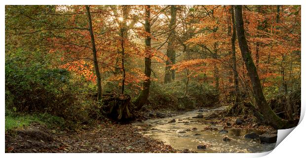 Autumn at Wenchford Print by David Tinsley