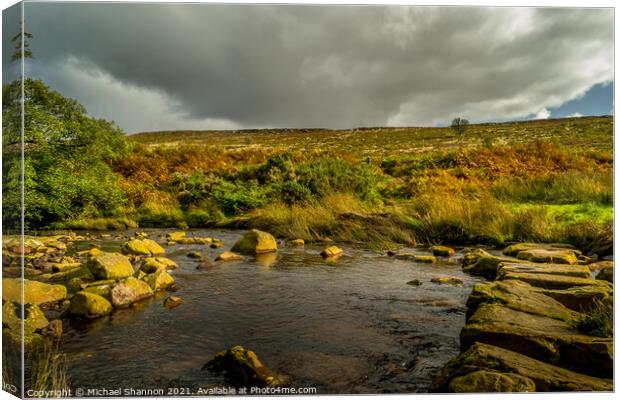 Wheeldale Beck stepping stones Canvas Print by Michael Shannon