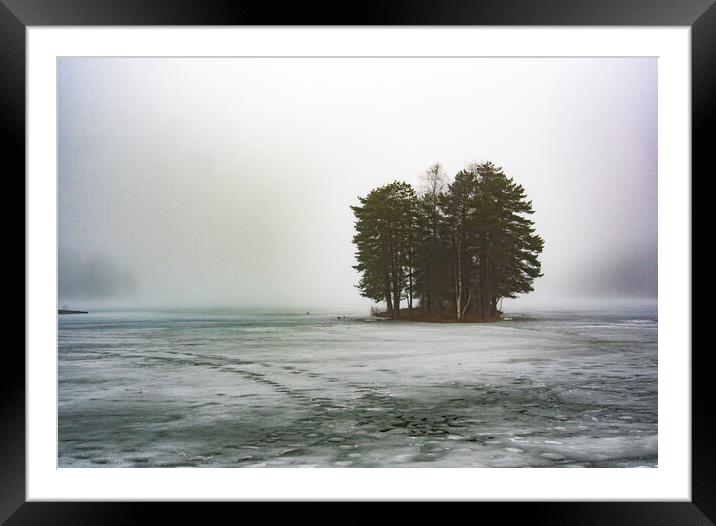 Trees In Norway Framed Mounted Print by Clive Eariss